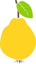 Silhouette of ripe yellow quince with green leaf